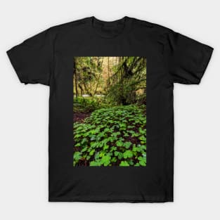 Clovers on the Forest Floor T-Shirt